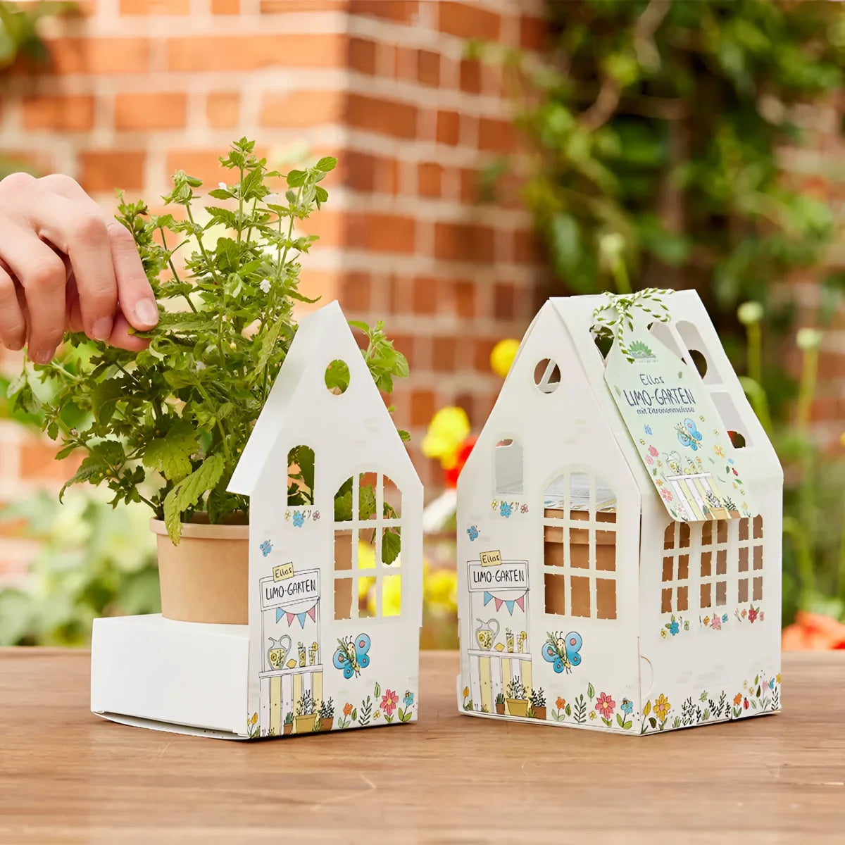 Weißes gewächshäuschen ellas limo-garten papierhaus planter mit floralem design als ökologisches baby- & kinderprodukt
