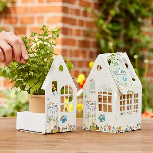 Weißes gewächshäuschen ellas limo-garten papierhaus planter mit floralem design als ökologisches baby- & kinderprodukt