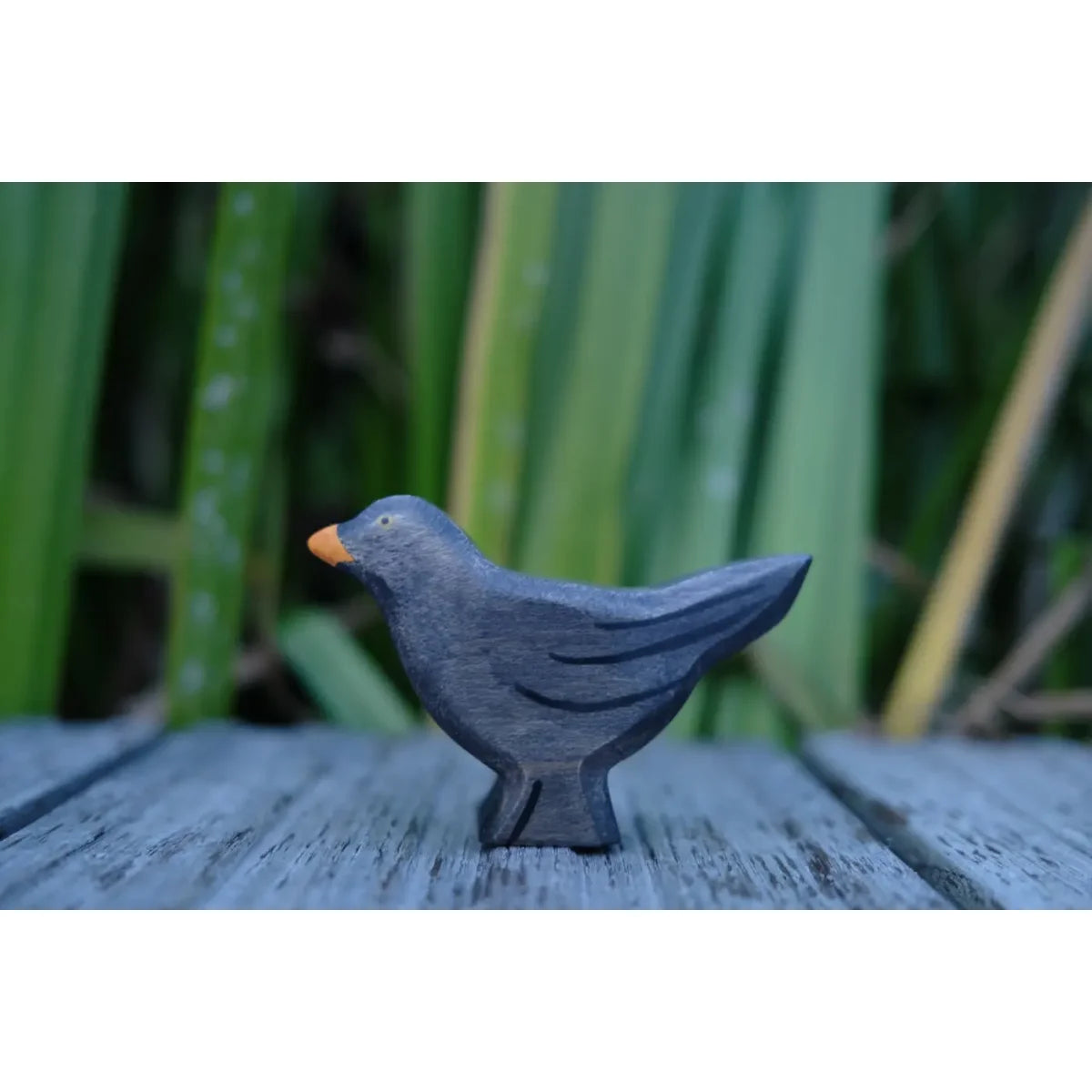 HOLZWALD Amsel