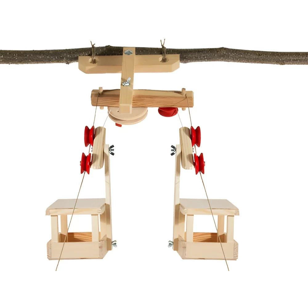 Large Shuttle Cable Car | 2 Gondolas with Summit Station