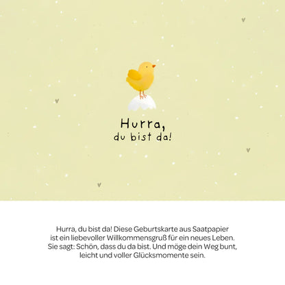 Karte hurra du bist da mit einer fröhlichen gelben kükenillustration auf einer weißen wolke vor grünem hintergrund