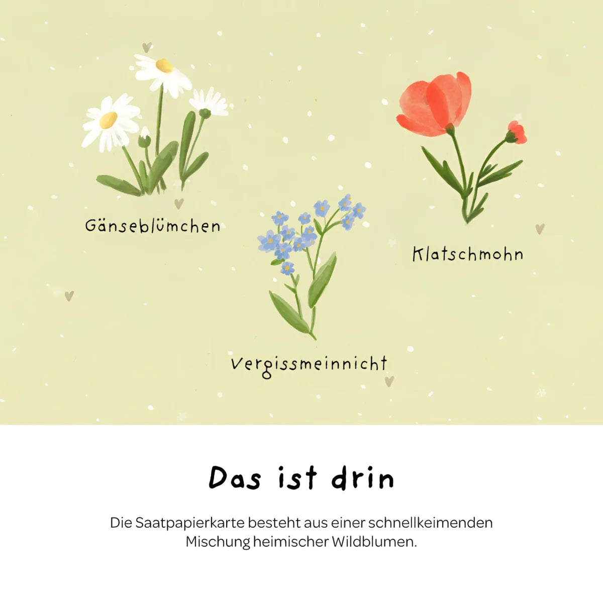 Illustrierte samenpapier karte hurra du bist da mit zarten aquarellzeichnungen von weißen gänseblümchen rotem klatschmohn
