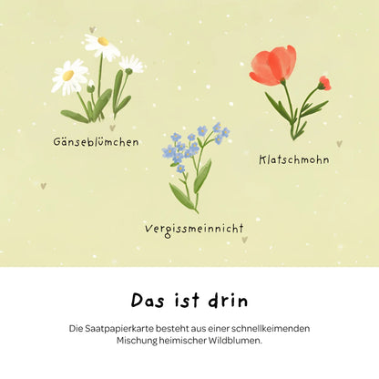 Illustrierte samenpapier karte hurra du bist da mit zarten aquarellzeichnungen von weißen gänseblümchen rotem klatschmohn