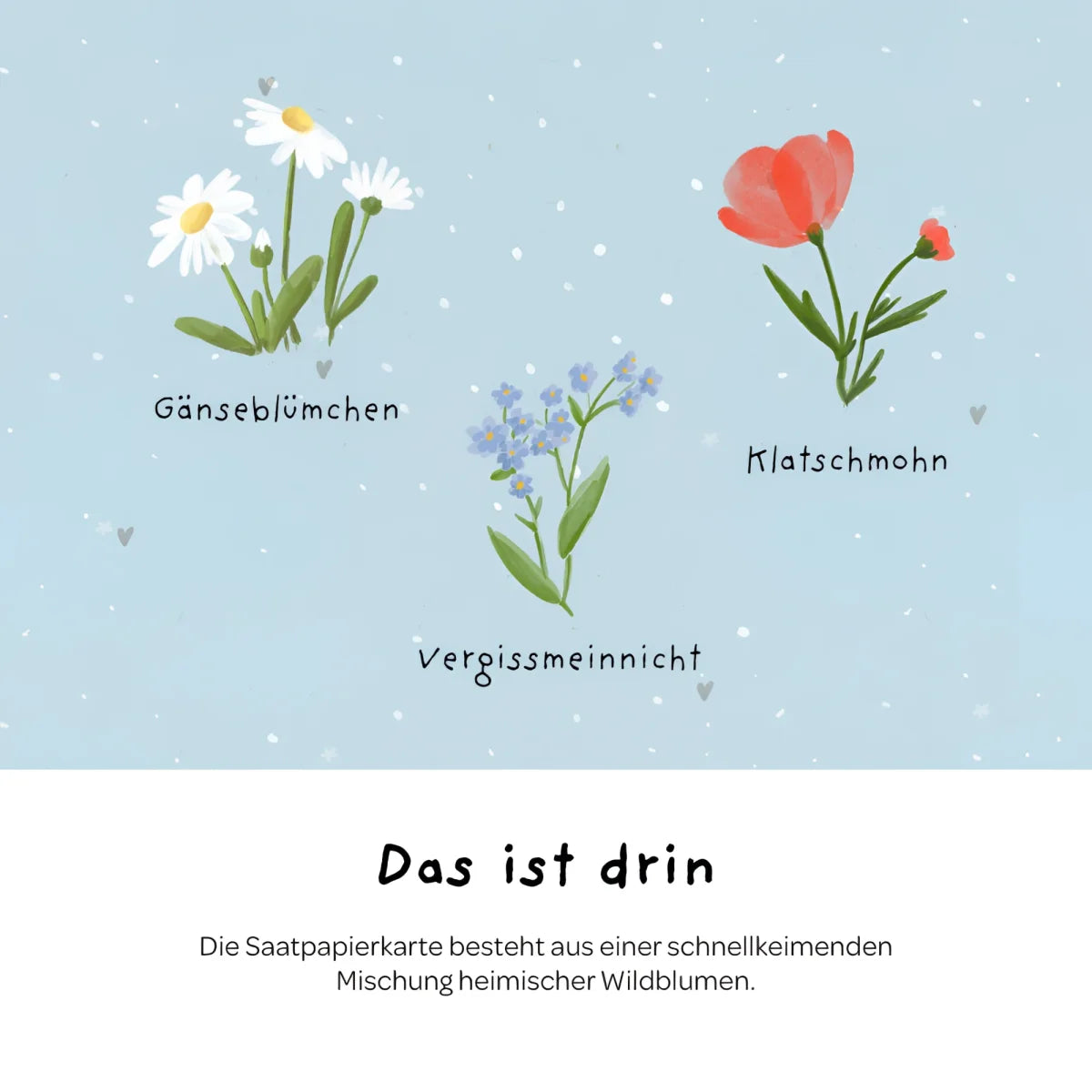 Illustrierte samenpapierkarte mit drei wildblumen arten weiße gänseblümchen rote mohnblumen blaue vergissmeinnicht
