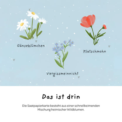 Illustrierte samenpapierkarte mit drei wildblumen arten weiße gänseblümchen rote mohnblumen blaue vergissmeinnicht