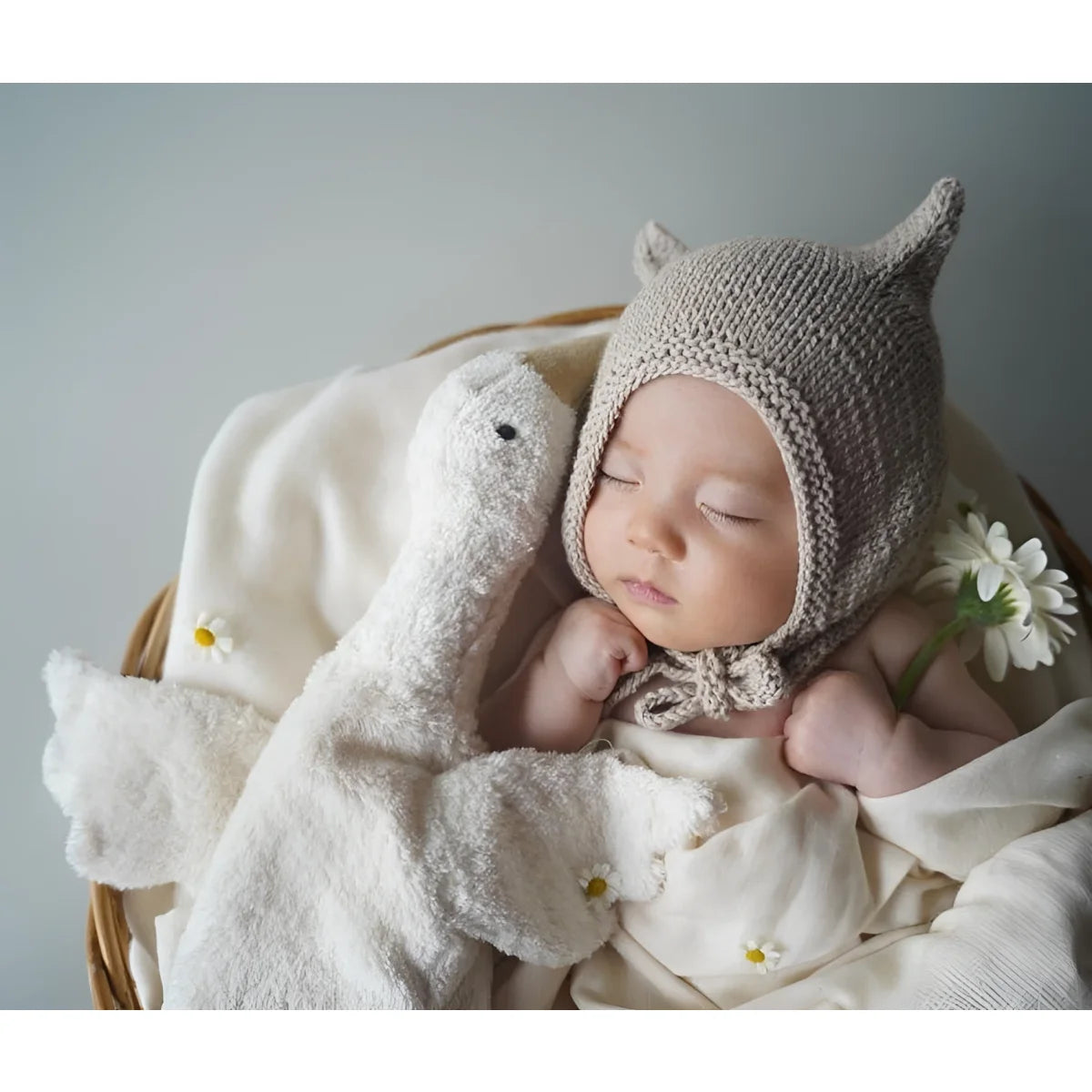 Schlafendes Baby mit gestrickter Mütze und Kuscheltier Gans klein in Weiß