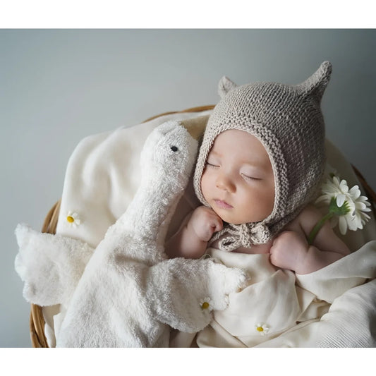 Schlafendes Baby mit gestrickter Mütze und Kuscheltier Gans klein in Weiß