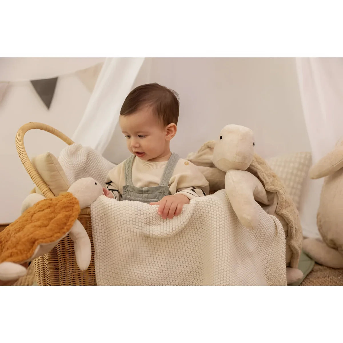 Baby in einem Korb mit Kuscheltier Schildkröte klein und weiteren Stofftieren