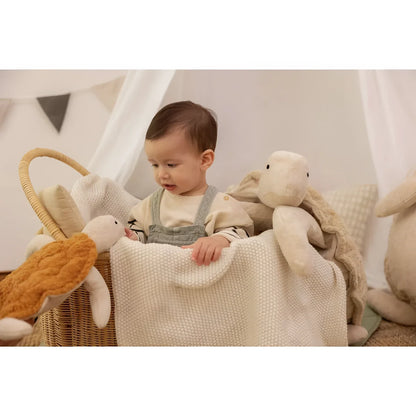 Baby in einem Korb mit Kuscheltier Schildkröte klein und weiteren Stofftieren