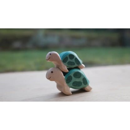 Zwei Holzschildkröten: teal Schale und beige Körper, Meeresschildkröte