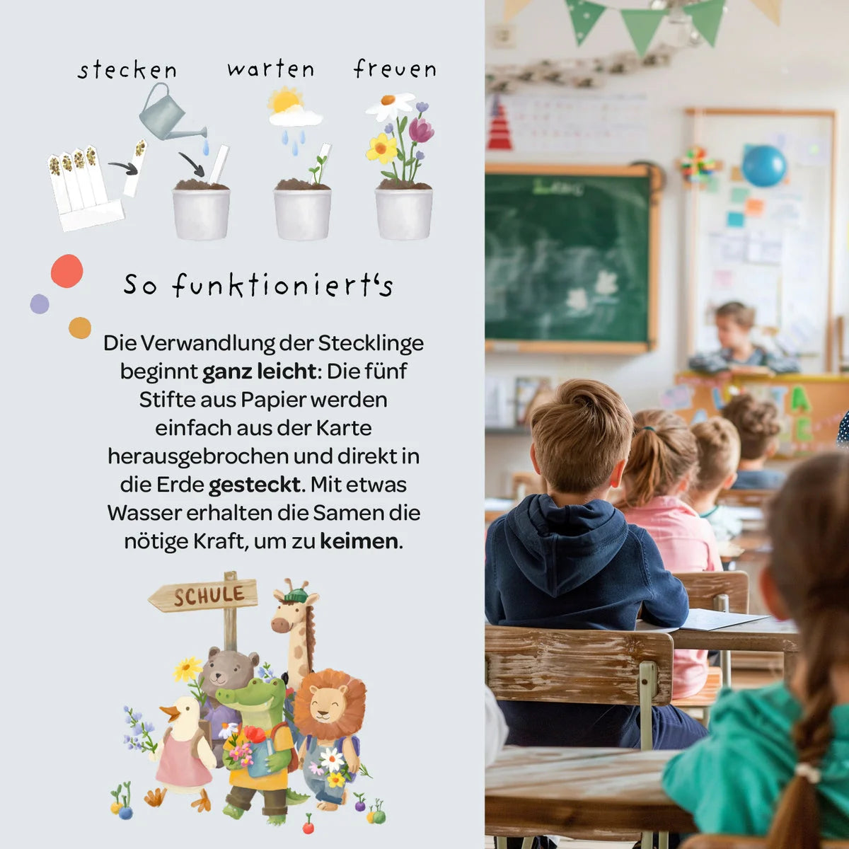 Illustration eines pflanzkästchens mutblumen mit cartoon-tieren und deutscher erklärung zum aussäen von samen