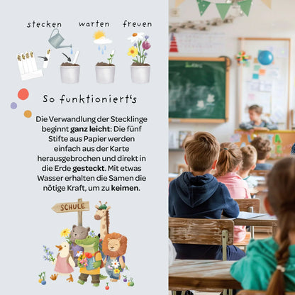 Illustration eines pflanzkästchens mutblumen mit cartoon-tieren und deutscher erklärung zum aussäen von samen