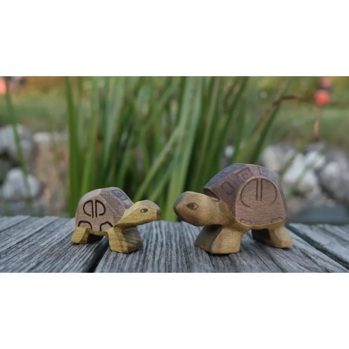 HOLZWALD Schildkröte