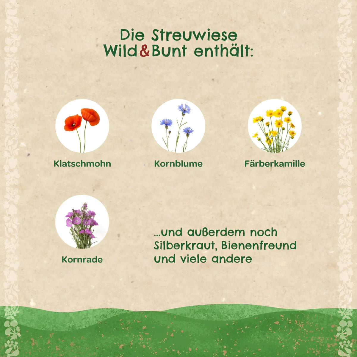 Ein rustikales papieretikett mit fünf kreisförmigen wildblumenabbildungen in rot, blau, gelb und lila für streuwiese wild