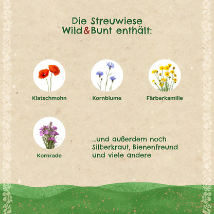 Ein rustikales papieretikett mit fünf kreisförmigen wildblumenabbildungen in rot, blau, gelb und lila für streuwiese wild