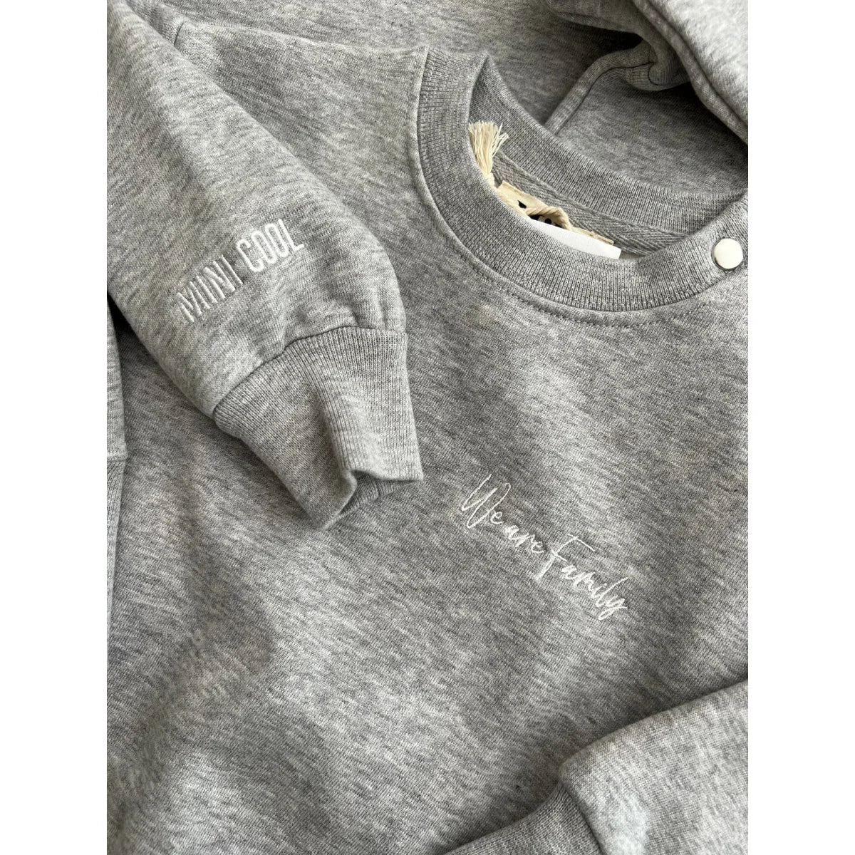 Graues Baumwoll-Sweatshirt für Babys und Kinder von MINI COOL mit We are Family Druck