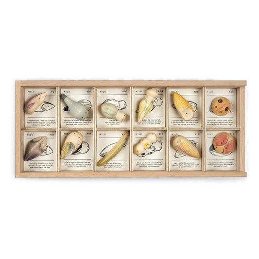 Wild 12-teiliges Holzkästchen mit Muschel-Designs in natürlichen Farben